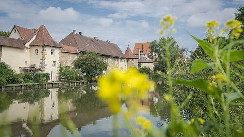 Seeweiher in Weißenburg in Bayern