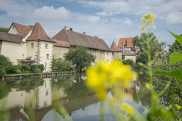 Stichvillenpark bei Weißenburg Fluss mit mittelalterlichen Gebäuden im Hintergrund, gelbe Blumen im Vordergrund.