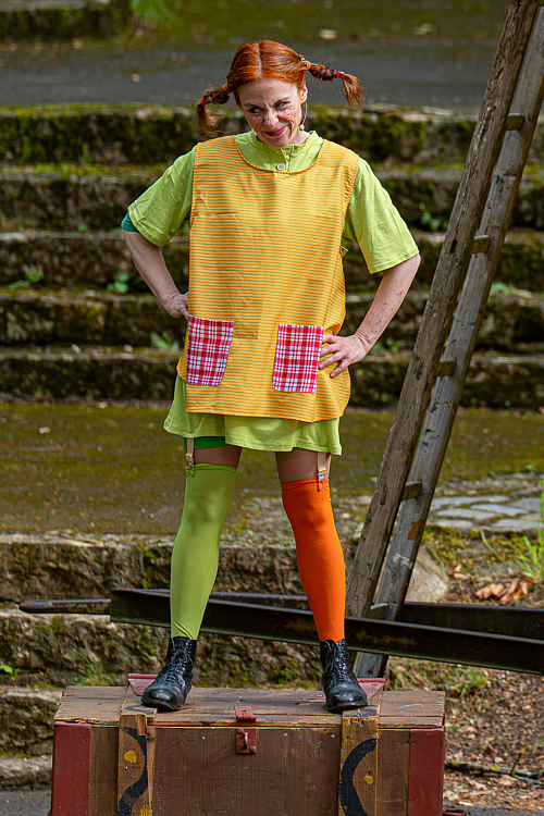 Pippi auf hoher See