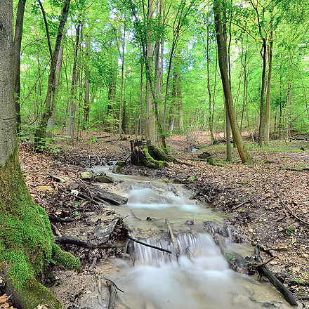 Wasserlauf Römmerbrunnen